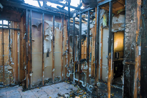 Professional Fire Damage Removal technician working in Amberley, OH